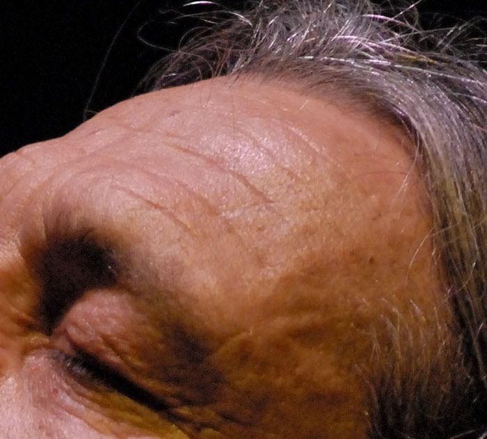 lucchinelli-crop.jpg