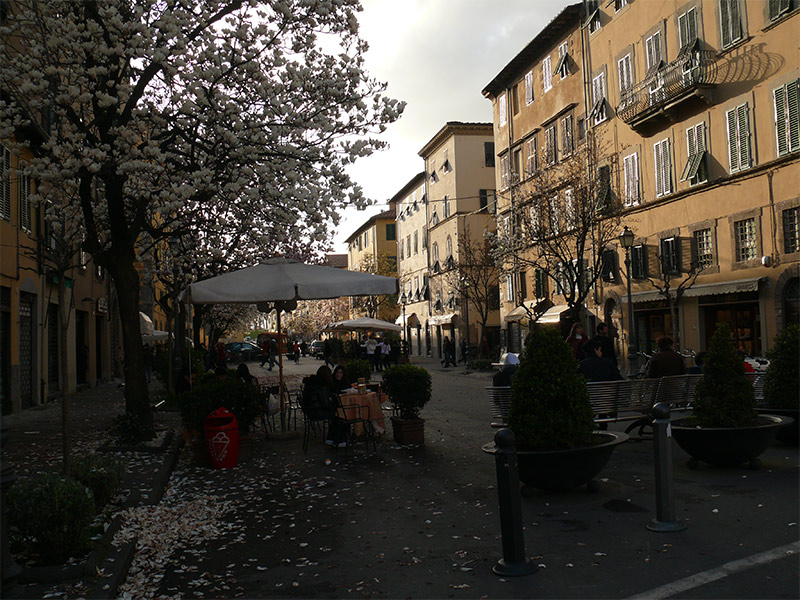 Luccororiz.jpg
