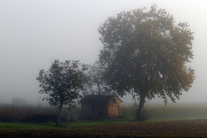 Luce-del-Mattino2daa.jpg