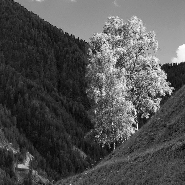 Luce e ombra 02_FR.jpg