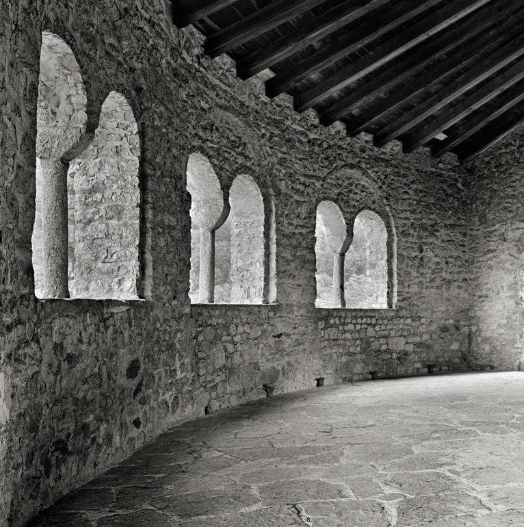 Luci-del-bosco.jpg