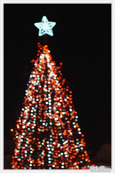 Luci notturne 09_10.jpg