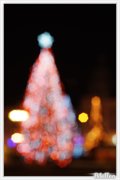 Luci notturne 09_5.jpg