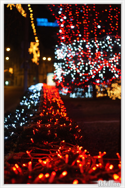 Luci notturne 09_6.jpg