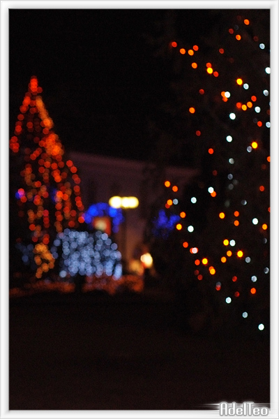 Luci notturne 09_9.jpg