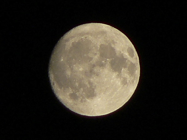 Lumix_varie_0000008.jpg