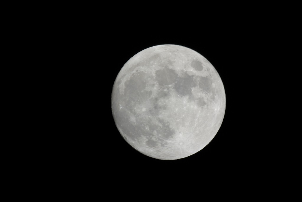 luna-1500.jpg