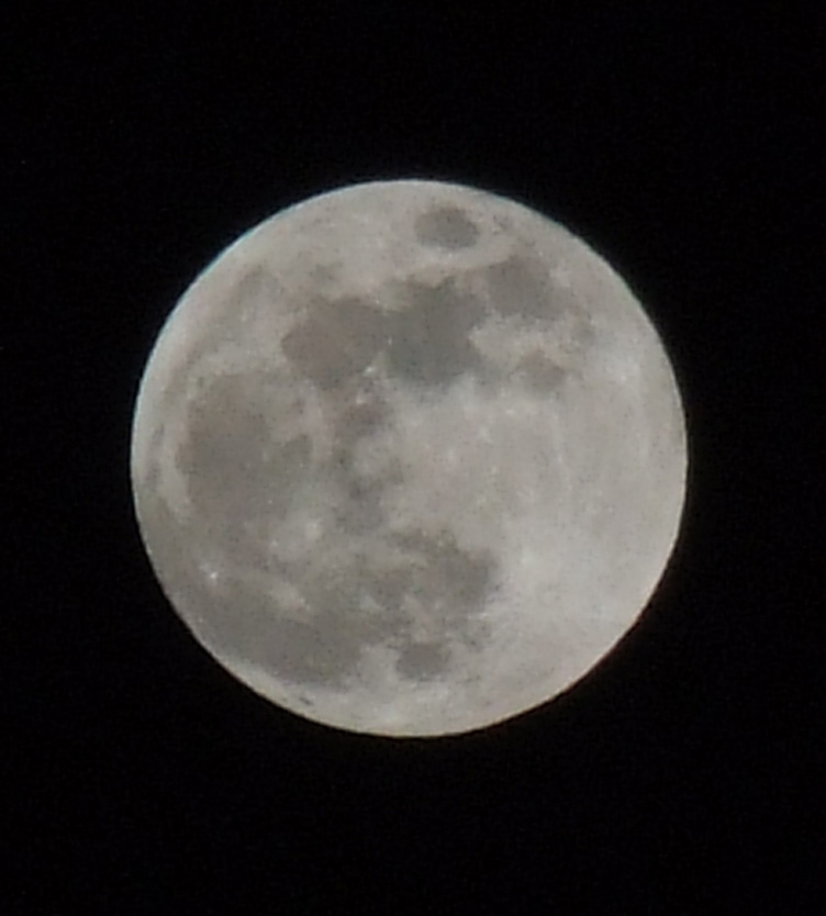 luna-crop.jpg