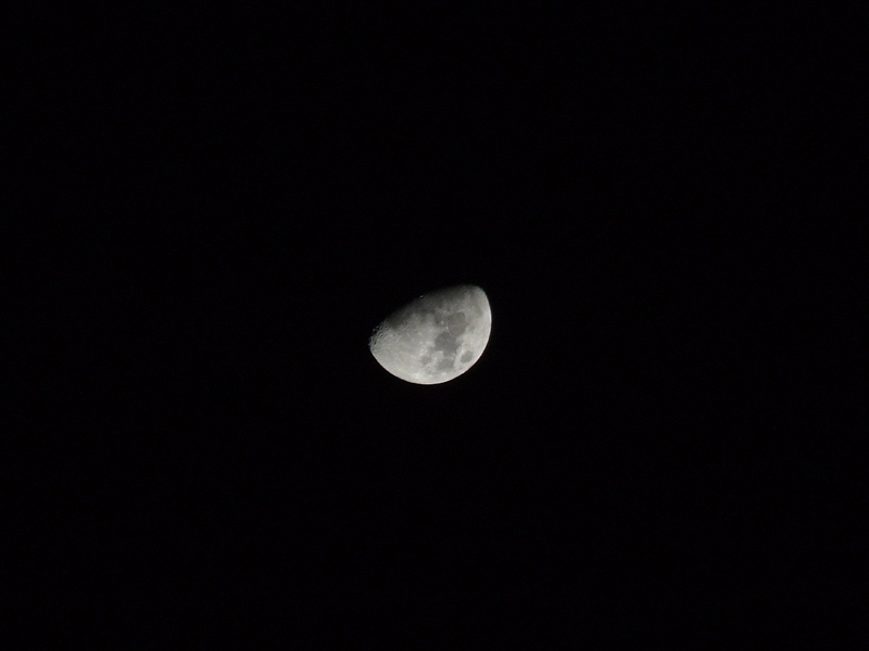 luna-foto-intera.jpg