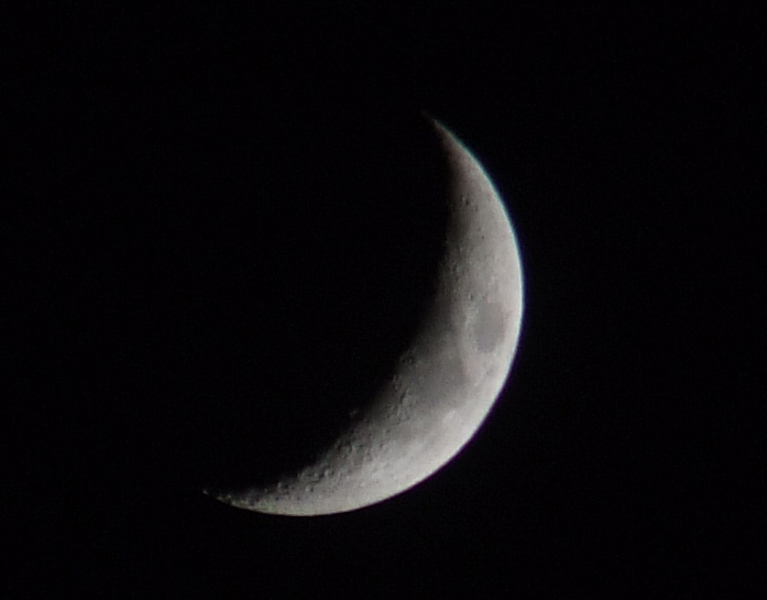 luna-jpeg.jpg