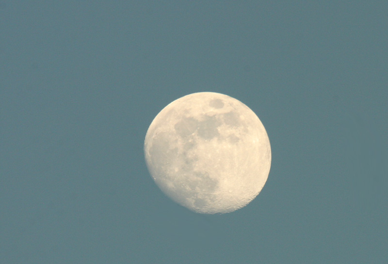 Luna-orig.jpg
