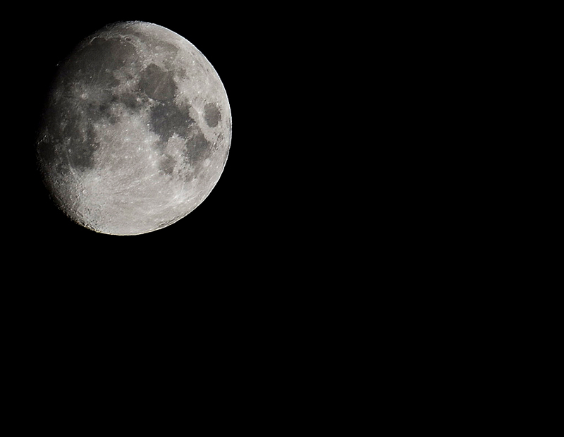 Luna-Pippokennedy.jpg