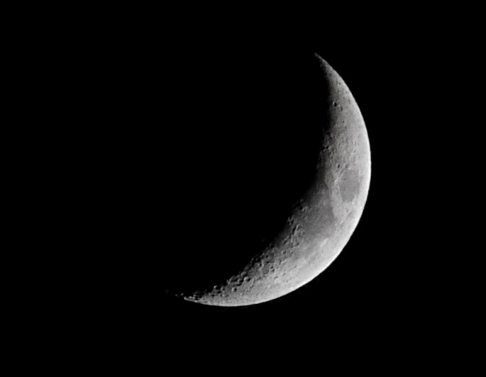 luna-raw.jpg