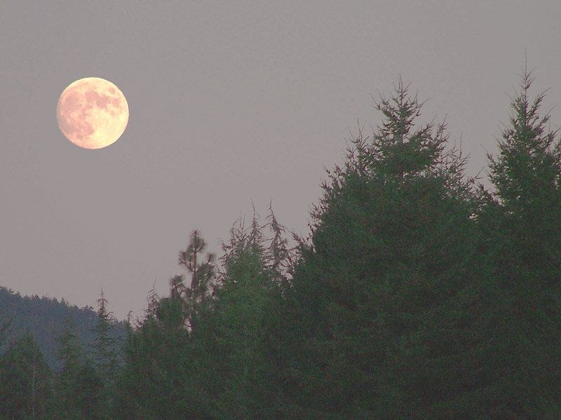 luna01.jpg