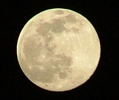 luna1.jpg