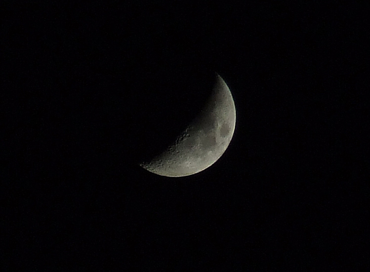 luna1.jpg