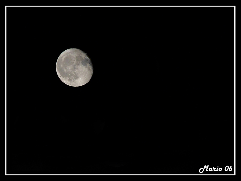 luna1.jpg