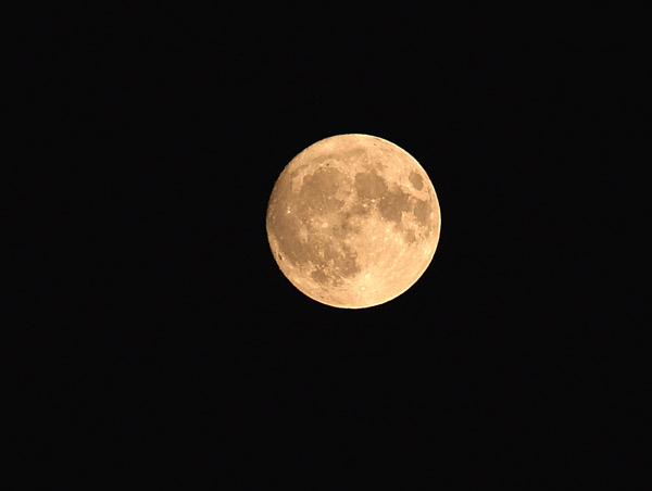 luna1.jpg