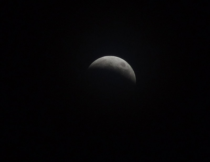 luna2-web.jpg