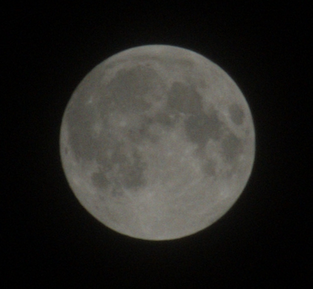 Luna2.jpg