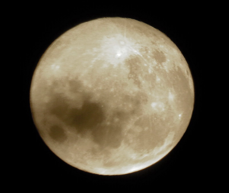 luna2.jpg