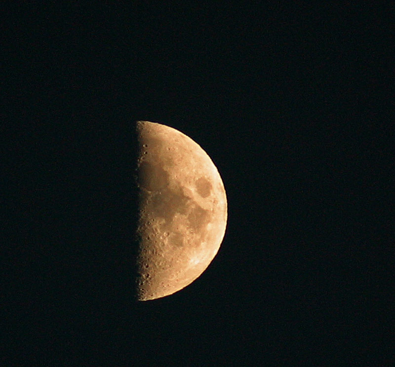 luna2.jpg