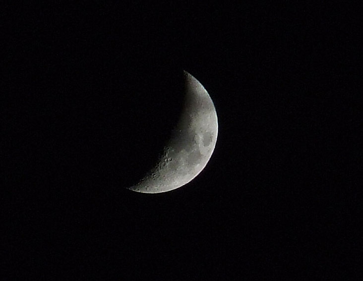 luna2.jpg