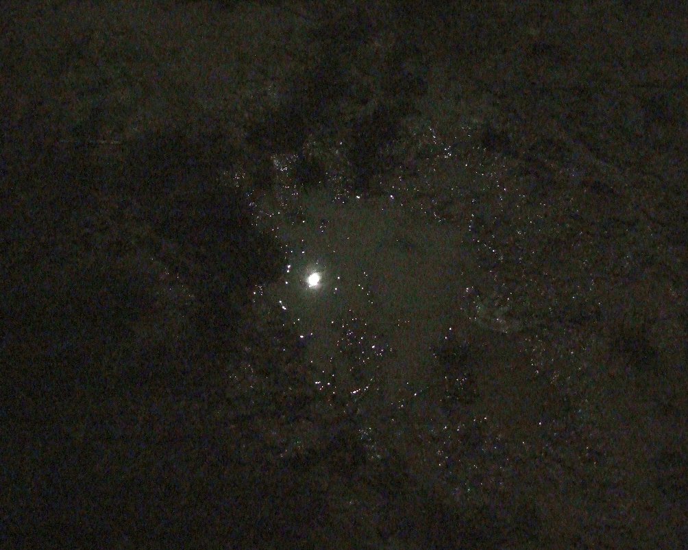 luna2.jpg