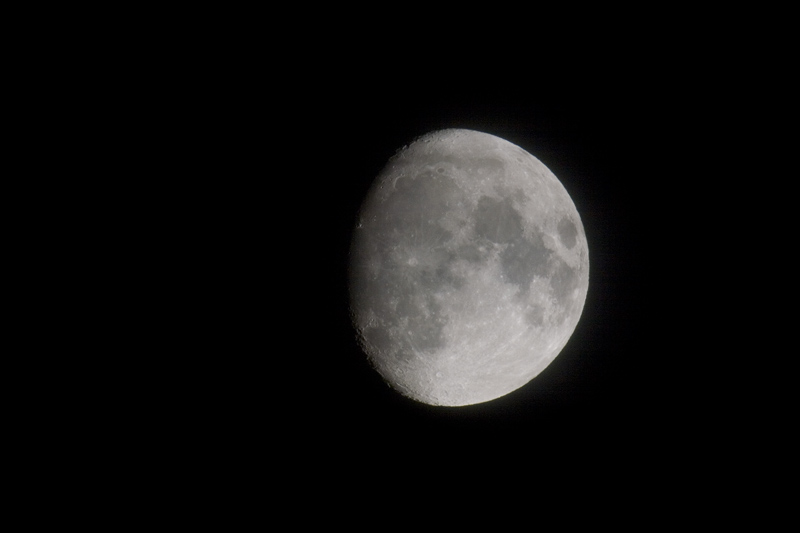 luna2x1.4x.jpg