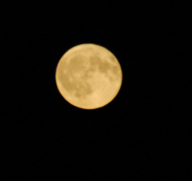 LUNA3.jpg