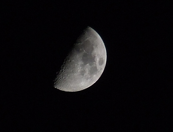 luna3.jpg