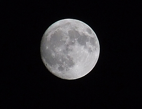luna4.jpg