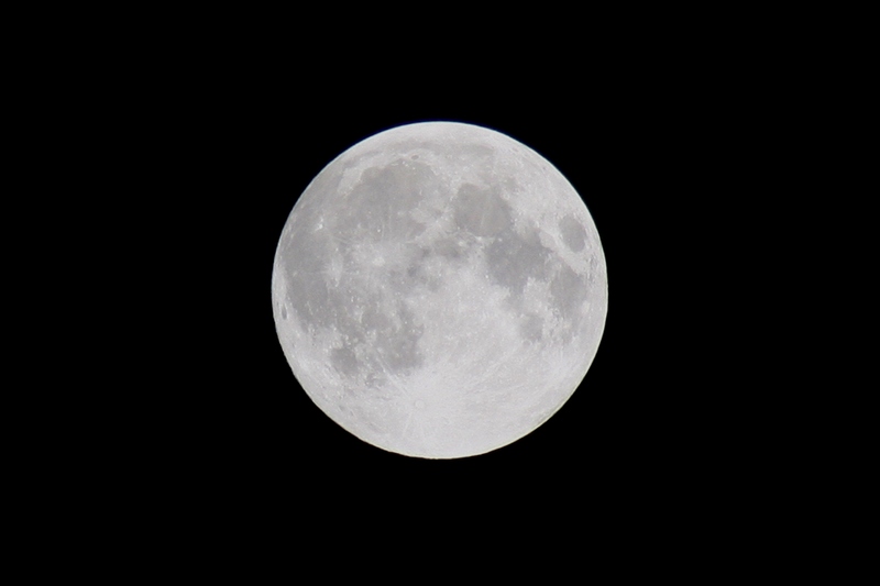 luna4bis.jpg