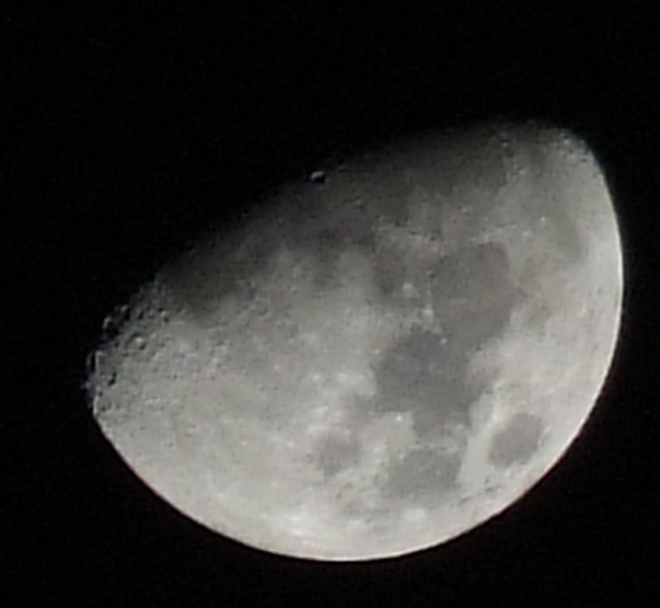 luna.jpg