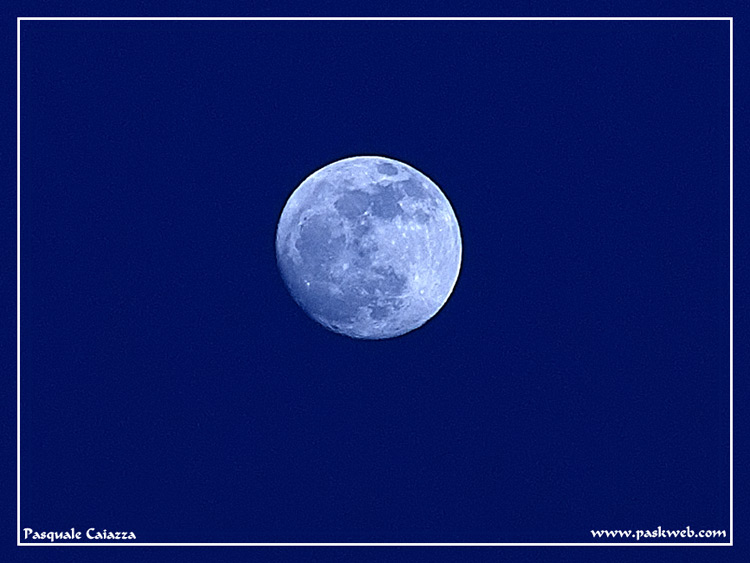 luna.jpg