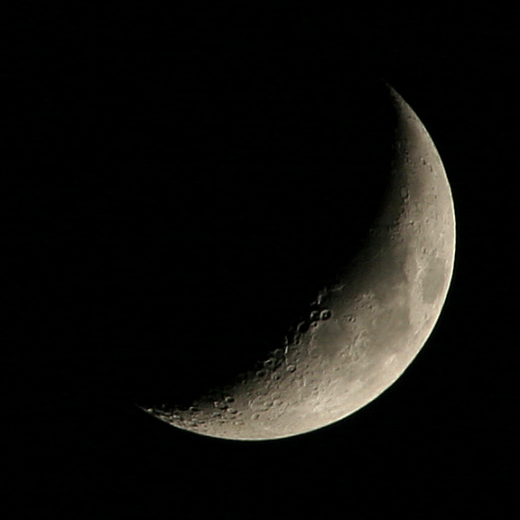 luna.jpg