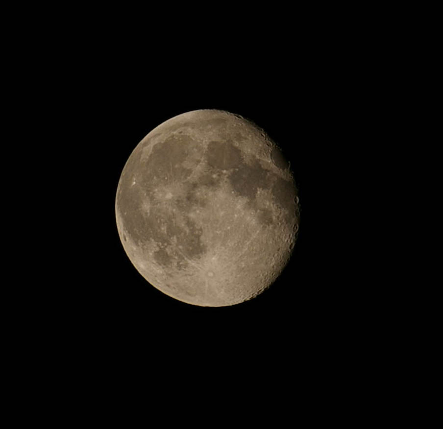 luna.jpg