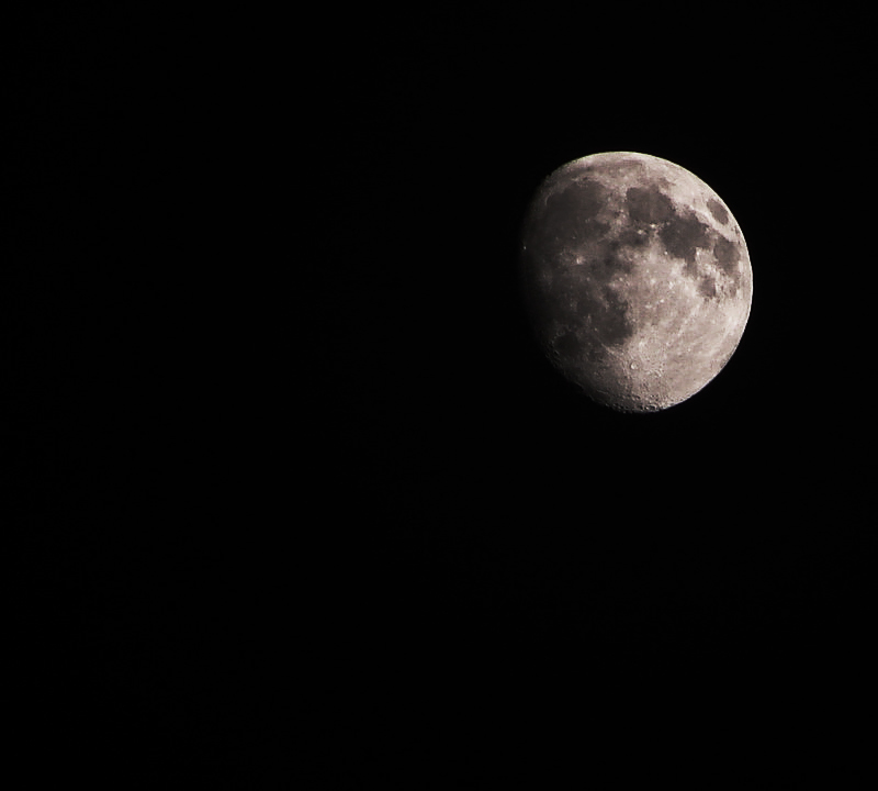 luna.jpg