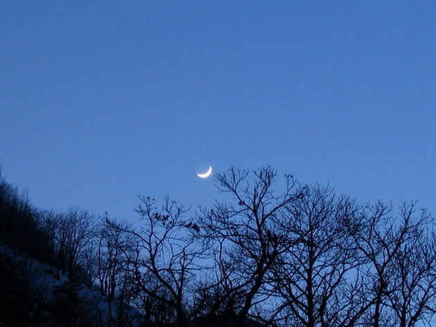 luna.jpg