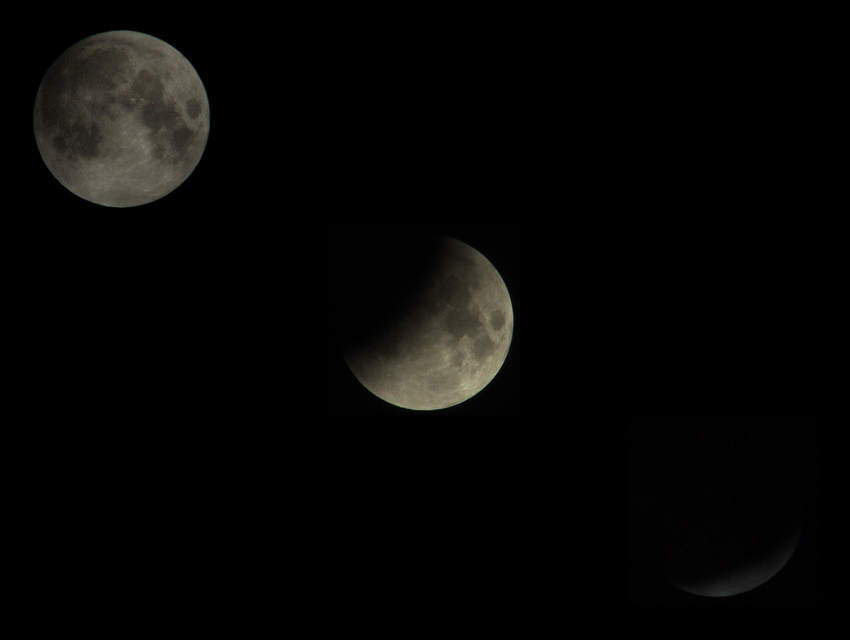 luna.jpg