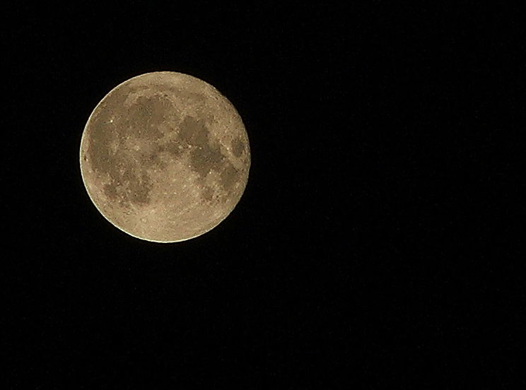 luna_159.jpg