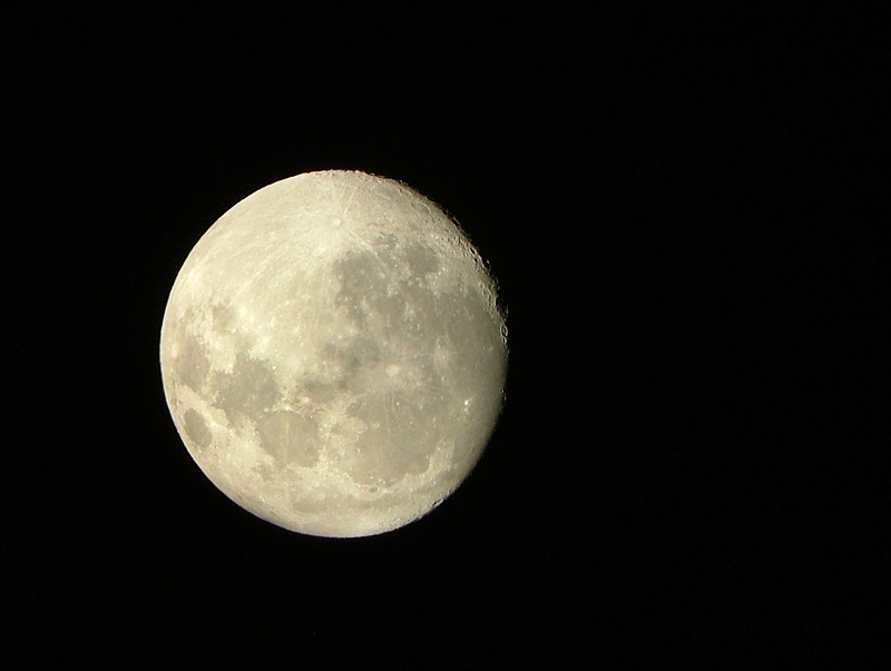 luna.jpg