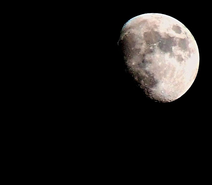 luna.jpg