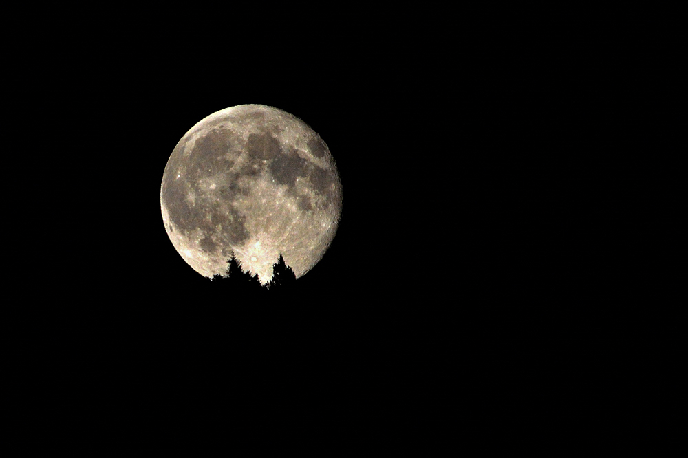 Luna.jpg