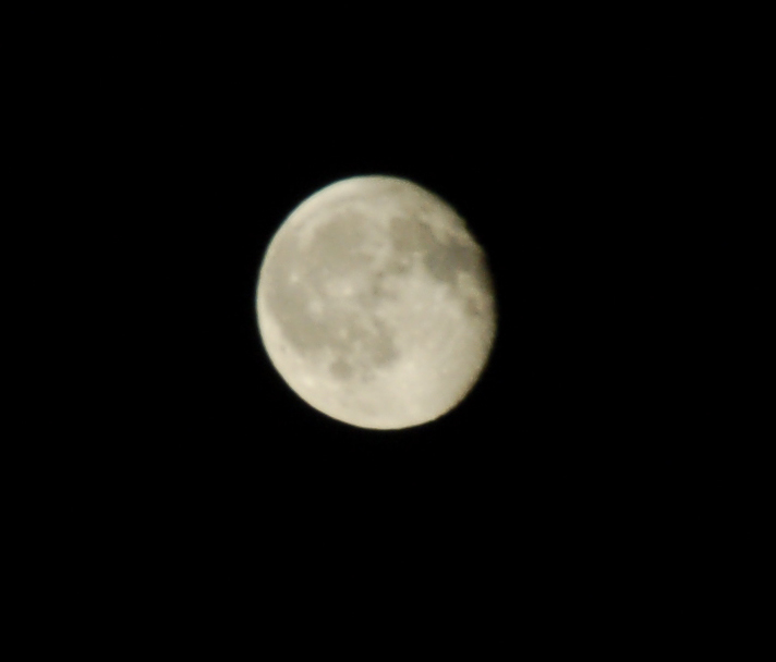 LUNA 1.jpg