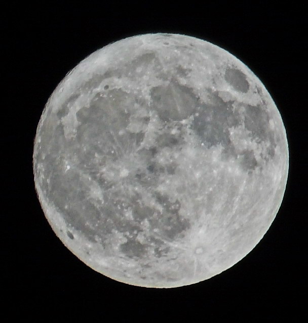 Luna_1.jpg