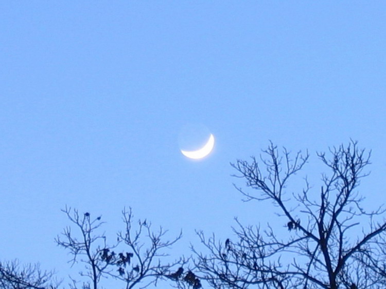 luna 2.jpg