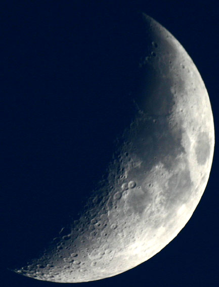 luna.jpg