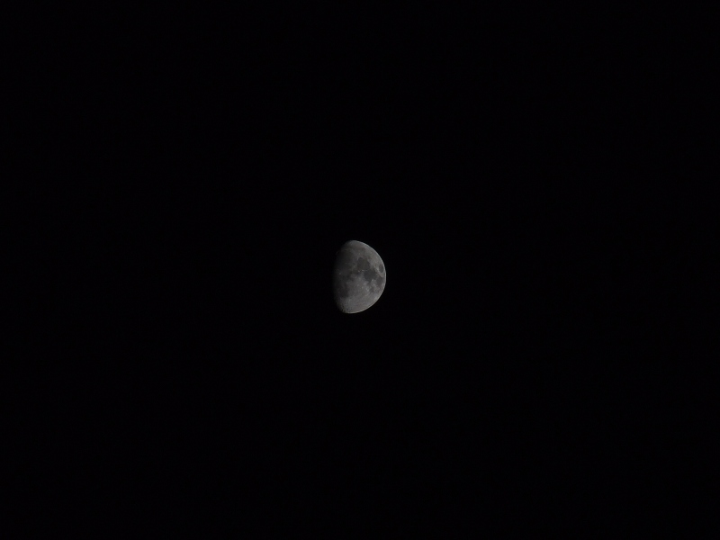 Luna.jpg