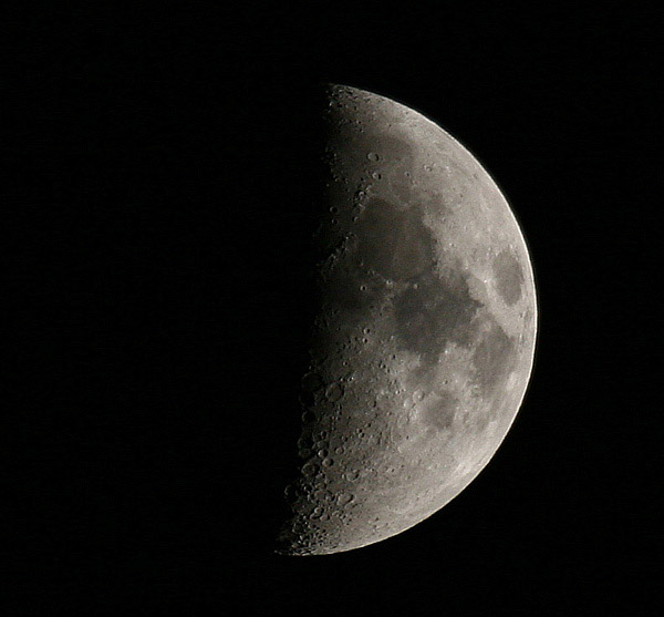 luna.jpg